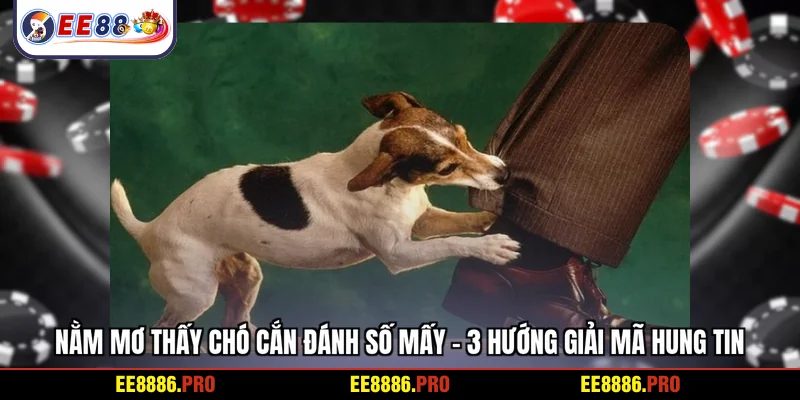 Nằm mơ thấy chó cắn đánh số mấy - 3 hướng giải mã hung tin